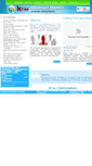 Mobile Screenshot of platingcoatingthicknesssystems.com